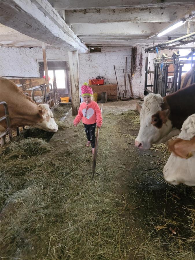 Ferienwohnung Biohof Untermar Оберфеллах Екстер'єр фото